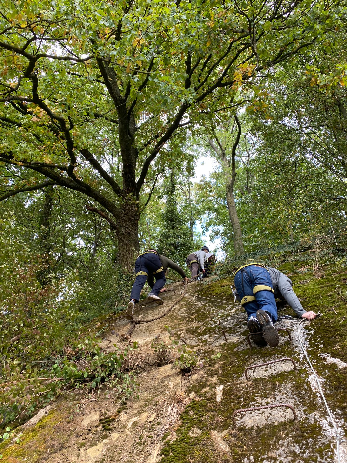 Teambuilding V-care